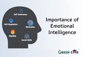 Why Emotional Intelligence Matters for Students