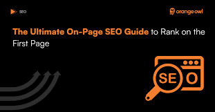SEO Basics for Beginners: Rank Your First Website